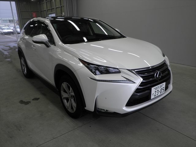 2014 Lexus NX